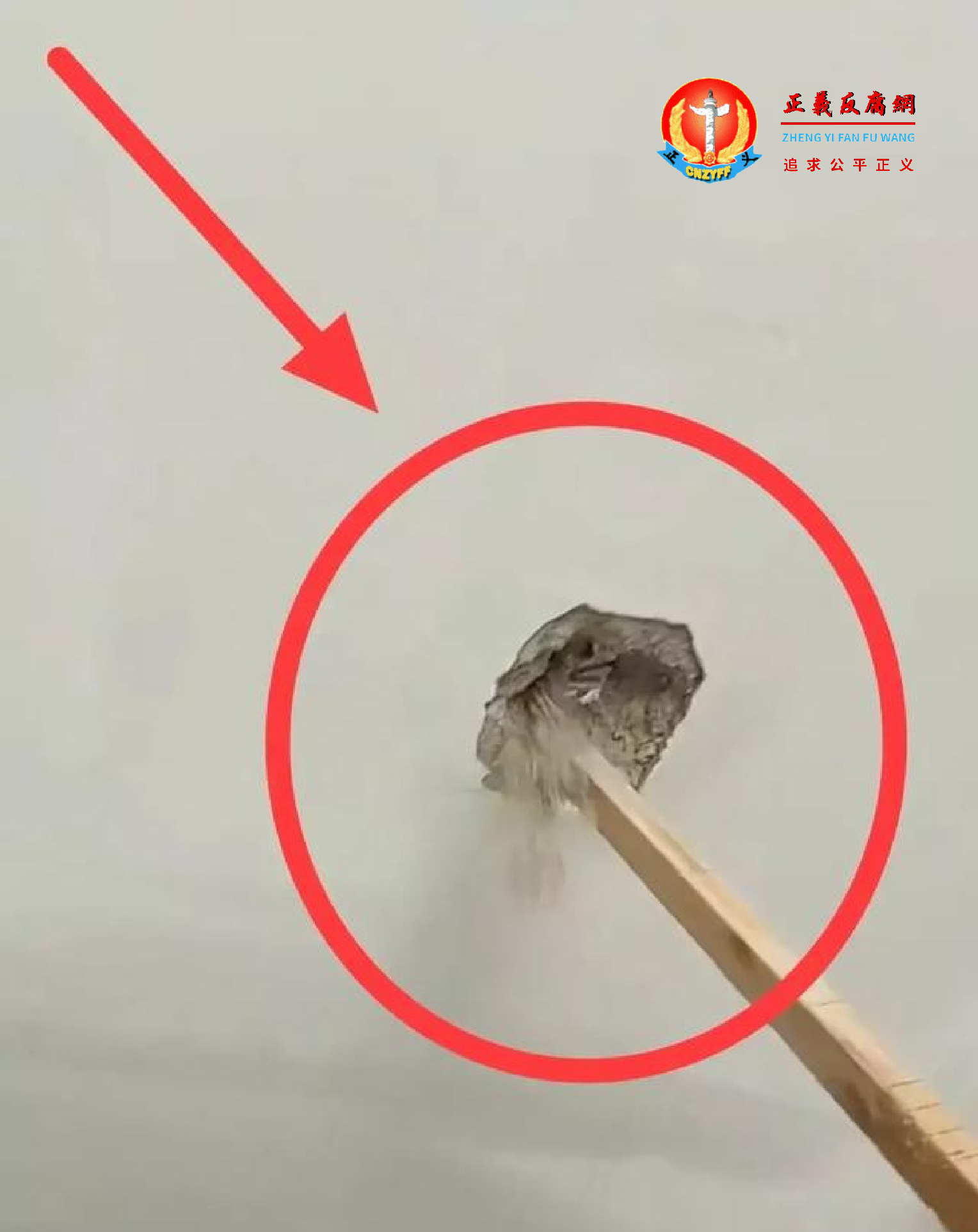 房子天花板用木棍可以轻松捅穿2个洞，用棍子一碰，水泥哗哗往下掉落。开发商称是“小瑕疵”。.png